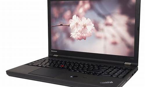 thinkpadw500_ThinkPa