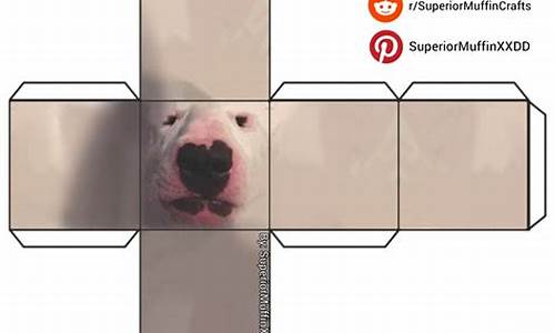 puppy cube_puppy cube投影仪官网售后